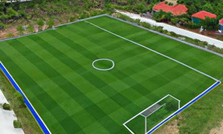 Nhà môi giới XTB có lừa đảo không?